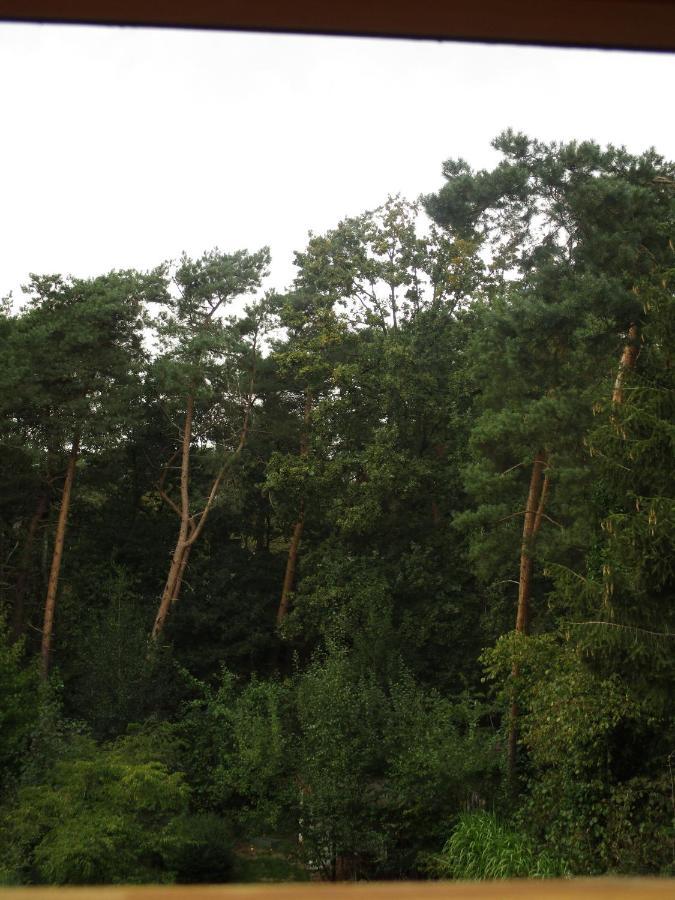 De Loteling Zoersel Bagian luar foto